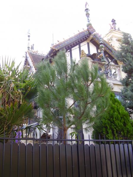 Encore la maison